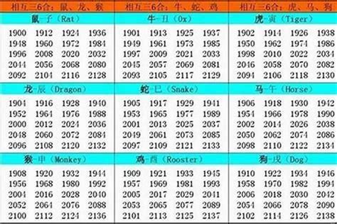 1982年屬什麼|1982 年出生属什么生肖